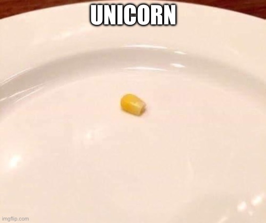 UNICORN | made w/ Imgflip meme maker