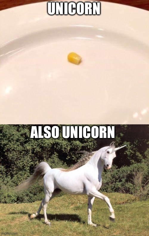 Unicorns | UNICORN; ALSO UNICORN | image tagged in unicorns,unicorn,bad pun | made w/ Imgflip meme maker
