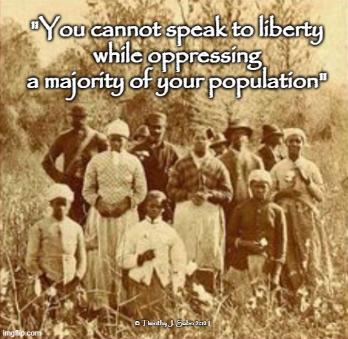 Liberty | "You cannot speak to liberty
 while oppressing  a majority of your population"; © Timothy J. Sabo 2021 | image tagged in america,slavery,oppression,human rights,native americans,women's rights | made w/ Imgflip meme maker