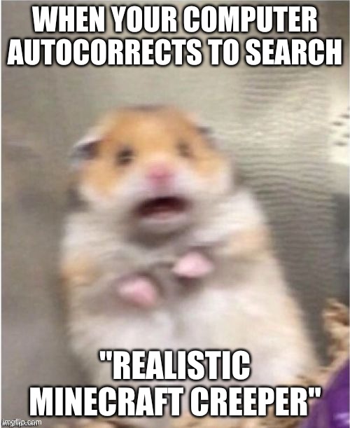 Never EVER search that, for your own sanity. | WHEN YOUR COMPUTER AUTOCORRECTS TO SEARCH; "REALISTIC MINECRAFT CREEPER" | image tagged in scared hamster,minecraft,creeper | made w/ Imgflip meme maker