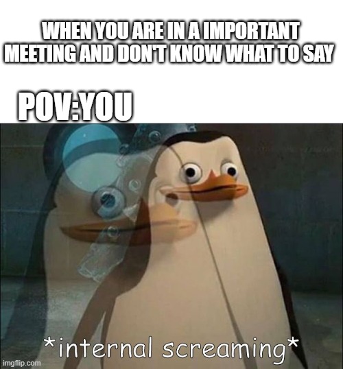 meetings bee like | WHEN YOU ARE IN A IMPORTANT MEETING AND DON'T KNOW WHAT TO SAY; POV:YOU | image tagged in private internal screaming,meeting | made w/ Imgflip meme maker