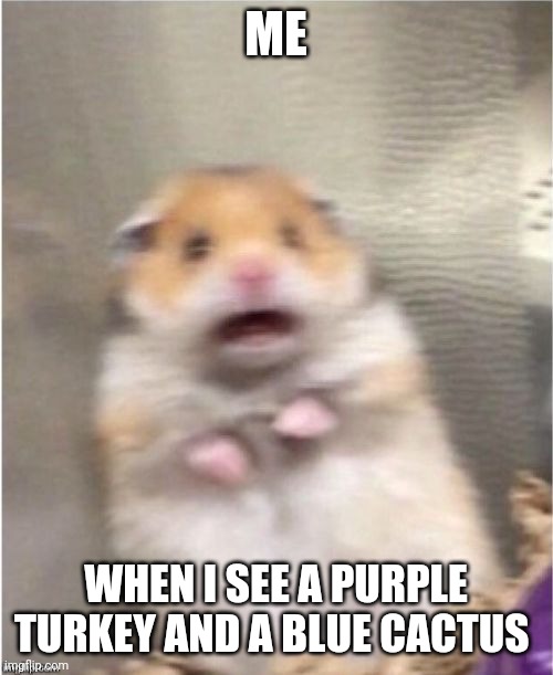 Purple and blue what?!?!? | ME; WHEN I SEE A PURPLE TURKEY AND A BLUE CACTUS | image tagged in scared hamster | made w/ Imgflip meme maker