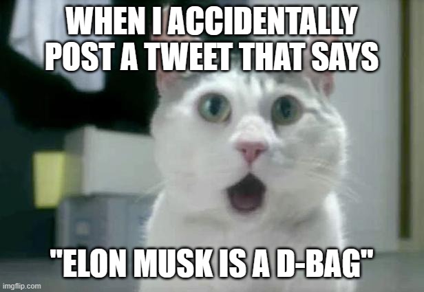 #ImScrewed | WHEN I ACCIDENTALLY POST A TWEET THAT SAYS; "ELON MUSK IS A D-BAG" | image tagged in memes,omg cat,twitter,tweet,elon musk,not a true story | made w/ Imgflip meme maker