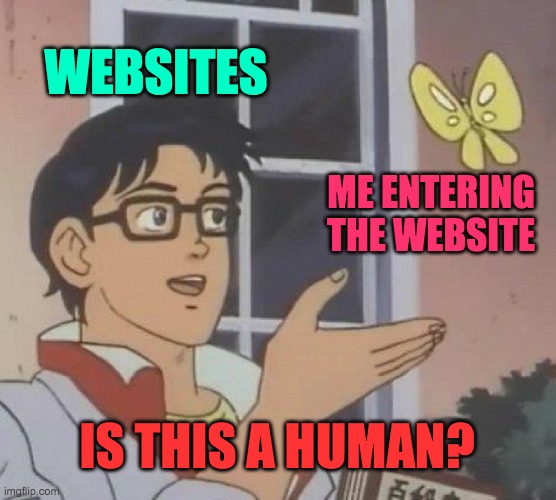 Recaptha or security checks are getting increasingly annoying... | WEBSITES; ME ENTERING THE WEBSITE; IS THIS A HUMAN? | image tagged in memes,is this a pigeon | made w/ Imgflip meme maker