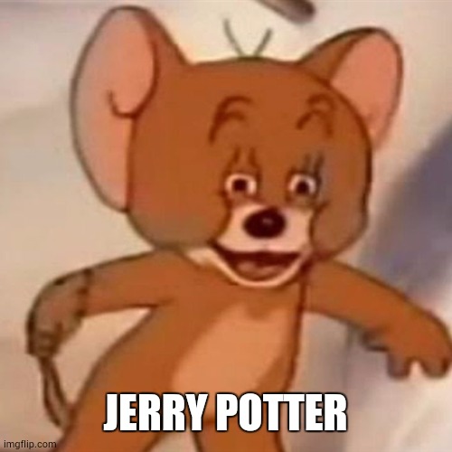 Polish Jerry | JERRY POTTER | image tagged in polish jerry | made w/ Imgflip meme maker