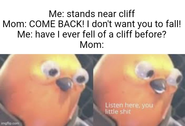 Meme #2,051 | Me: stands near cliff
Mom: COME BACK! I don't want you to fall!
Me: have I ever fell of a cliff before?
Mom: | image tagged in listen here you little shit bird,memes,cliff,moms,relatable,funny | made w/ Imgflip meme maker