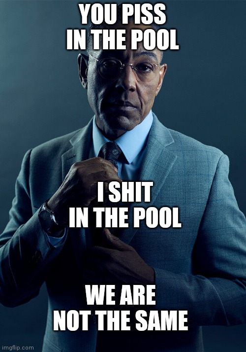 We are ndnjjek | YOU PISS IN THE POOL; I SHIT IN THE POOL; WE ARE NOT THE SAME | image tagged in gus fring we are not the same,memes,dank memes,funny,funny memes,dank | made w/ Imgflip meme maker