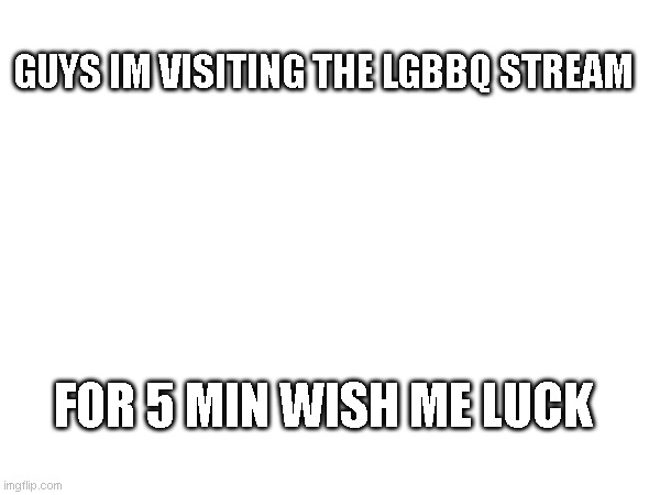 GUYS IM VISITING THE LGBBQ STREAM; FOR 5 MIN WISH ME LUCK | made w/ Imgflip meme maker