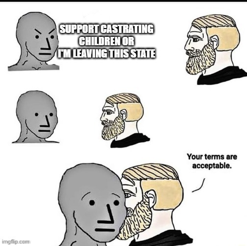 Your terms are acceptable | SUPPORT CASTRATING CHILDREN OR I'M LEAVING THIS STATE | image tagged in your terms are acceptable | made w/ Imgflip meme maker