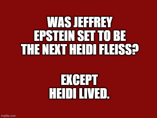 WAS JEFFREY EPSTEIN SET TO BE THE NEXT HEIDI FLEISS? EXCEPT HEIDI LIVED. | made w/ Imgflip meme maker