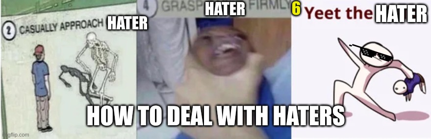 how to deal with haters | 6; HATER; HATER; HATER; HOW TO DEAL WITH HATERS | image tagged in casually approach child grasp child firmly yeet the child | made w/ Imgflip meme maker