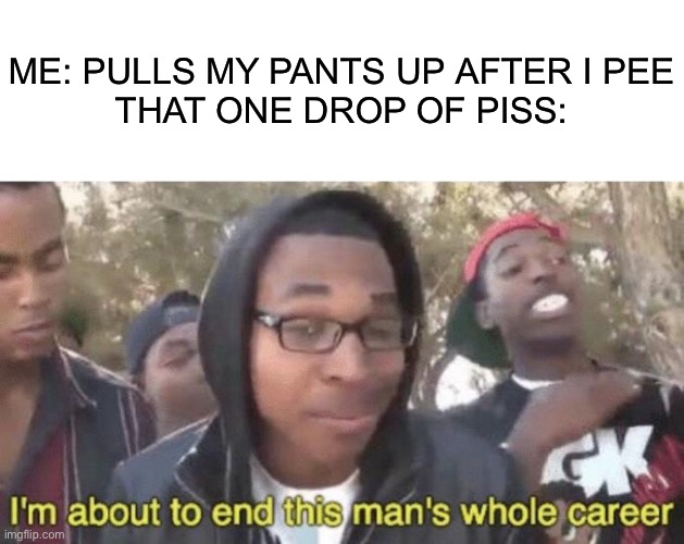 I’m about to end this man’s whole career | ME: PULLS MY PANTS UP AFTER I PEE
THAT ONE DROP OF PISS: | image tagged in i m about to end this man s whole career | made w/ Imgflip meme maker