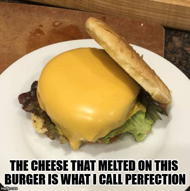 THE CHEESE THAT MELTED ON THIS 
BURGER IS WHAT I CALL PERFECTION | made w/ Imgflip meme maker