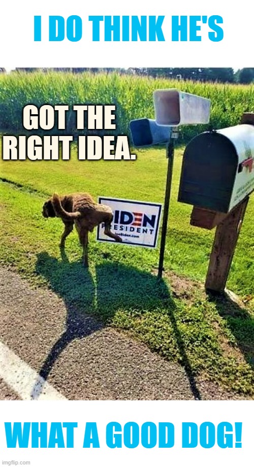 What A Good Dog! | I DO THINK HE'S; GOT THE RIGHT IDEA. WHAT A GOOD DOG! | image tagged in memes,politics,joe biden,dogs,peeing,sign | made w/ Imgflip meme maker