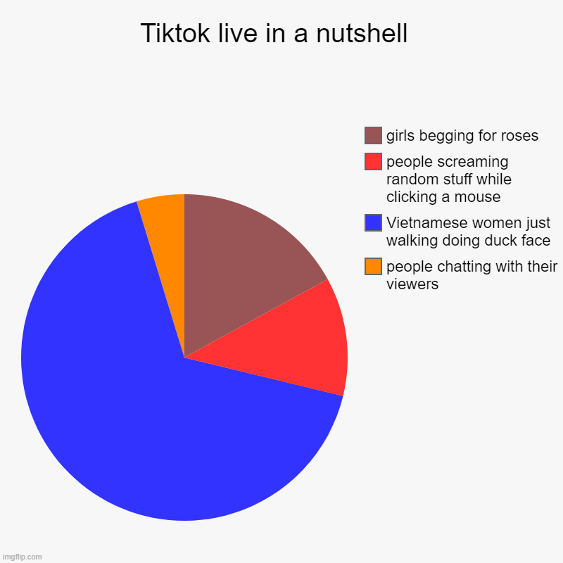 Tiktok live in a nutshell  | people chatting with their viewers , Vietnamese women just walking doing duck face , people screaming random st | image tagged in charts,pie charts | made w/ Imgflip chart maker