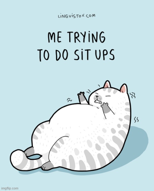 A Cat's Way Of Thinking | image tagged in memes,comics/cartoons,cats,fat cat,sitting,ups | made w/ Imgflip meme maker
