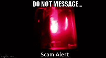 alert
