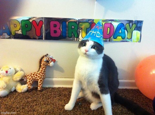 Cat Birthday | image tagged in cat birthday | made w/ Imgflip meme maker