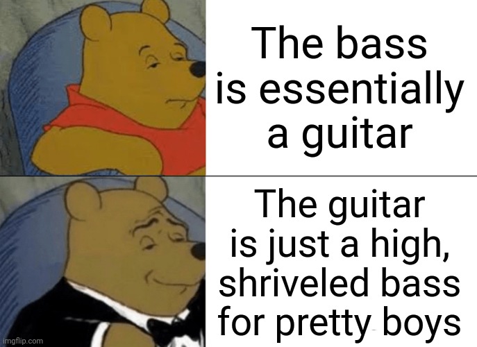 Tuxedo Winnie The Pooh | The bass is essentially a guitar; The guitar is just a high, shriveled bass for pretty boys | image tagged in memes,tuxedo winnie the pooh | made w/ Imgflip meme maker