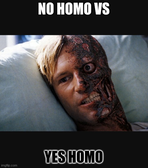 Two face | NO HOMO VS YES HOMO | image tagged in two face | made w/ Imgflip meme maker