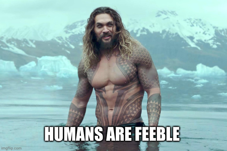 aquaman | HUMANS ARE FEEBLE | image tagged in aquaman | made w/ Imgflip meme maker