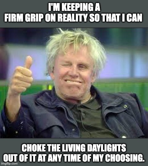 Busey | I'M KEEPING A FIRM GRIP ON REALITY SO THAT I CAN; CHOKE THE LIVING DAYLIGHTS OUT OF IT AT ANY TIME OF MY CHOOSING. | image tagged in gary busey approves | made w/ Imgflip meme maker