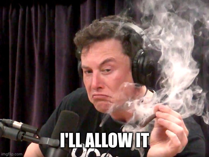 Elon Musk Weed | I'LL ALLOW IT | image tagged in elon musk weed | made w/ Imgflip meme maker