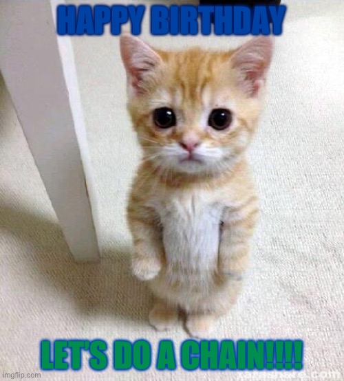Cute Cat Meme | HAPPY BIRTHDAY LET’S DO A CHAIN!!!! | image tagged in memes,cute cat | made w/ Imgflip meme maker