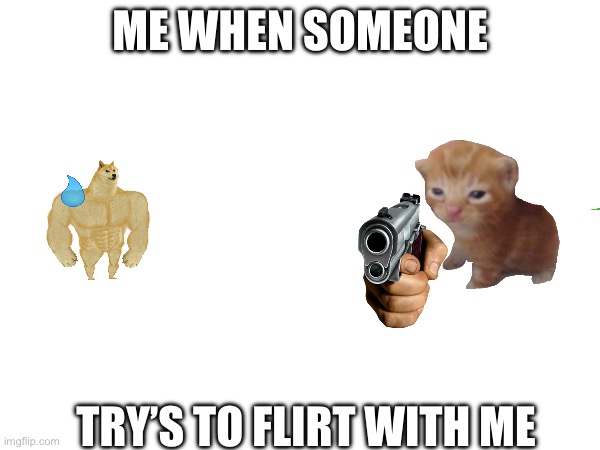 when someone try’s to flirt. | ME WHEN SOMEONE; TRY’S TO FLIRT WITH ME | image tagged in memes,funny,doge,grumpy cat | made w/ Imgflip meme maker