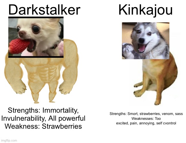 E | Darkstalker; Kinkajou; Strengths: Immortality, Invulnerability, All powerful
Weakness: Strawberries; Strengths: Smort, strawberries, venom, sass
Weaknesses: Too excited, pain, annoying, self control | image tagged in memes,doge | made w/ Imgflip meme maker