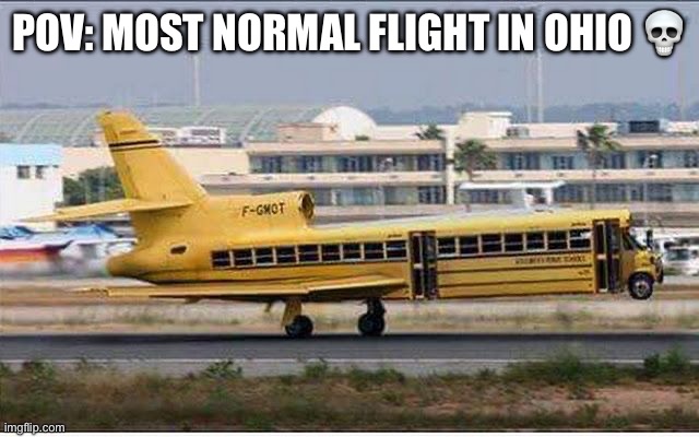 POV: MOST NORMAL FLIGHT IN OHIO 💀 | image tagged in pov,ohio,school bus,airplane | made w/ Imgflip meme maker