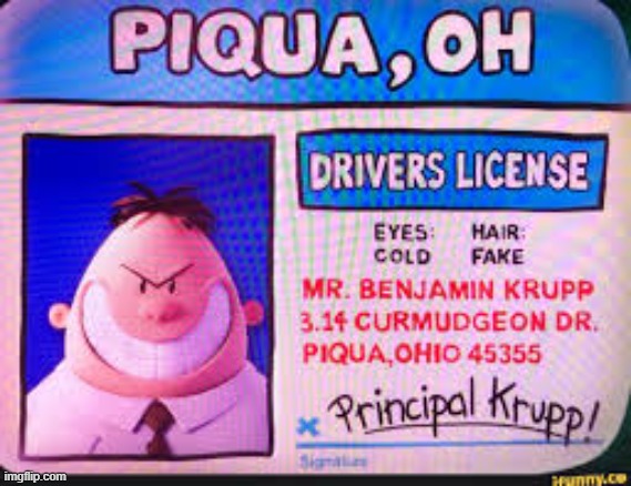 Mr. krupp’s idiot card | image tagged in mr krupp s idiot card | made w/ Imgflip meme maker