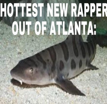 High Quality hottest new rapper out of atlanta Blank Meme Template