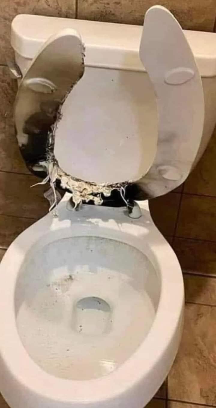 Taco Toilet 2 Blank Meme Template