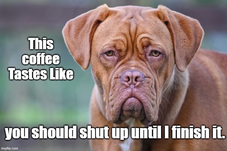 Morning Coffee | This coffee Tastes Like; you should shut up until I finish it. | image tagged in coffee,1st cup | made w/ Imgflip meme maker