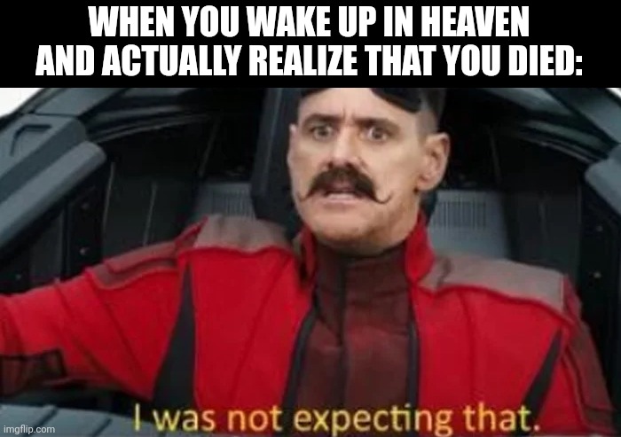 I was not expecting that | WHEN YOU WAKE UP IN HEAVEN AND ACTUALLY REALIZE THAT YOU DIED: | image tagged in i was not expecting that | made w/ Imgflip meme maker