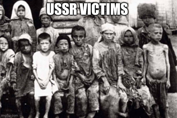 Ussr | USSR VICTIMS | image tagged in truth | made w/ Imgflip meme maker
