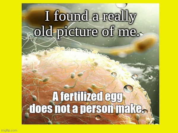 scrambled eggs | I found a really old picture of me. A fertilized egg does not a person make. | image tagged in abortion,women rights,democrats,republicans,pro choice,vote | made w/ Imgflip meme maker