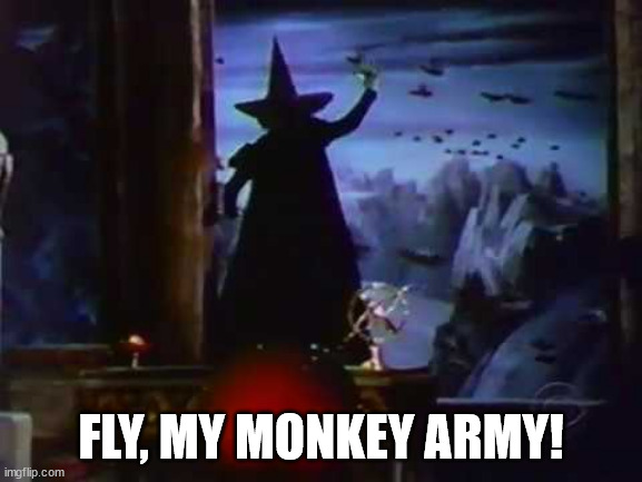 Wicked witch flying monkeys | FLY, MY MONKEY ARMY! | image tagged in wicked witch flying monkeys | made w/ Imgflip meme maker