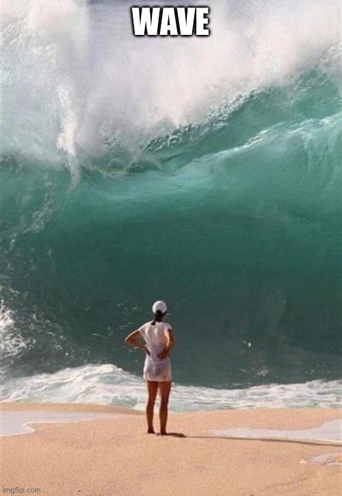Wave | WAVE | image tagged in wave | made w/ Imgflip meme maker