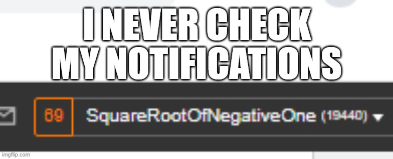 never in my life | I NEVER CHECK; MY NOTIFICATIONS | image tagged in memes,notifications,ignore,funny,what | made w/ Imgflip meme maker