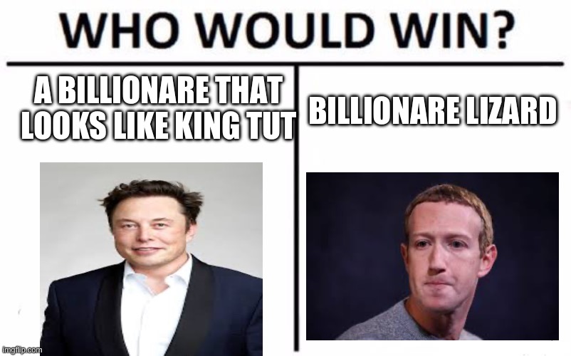 twitter vs meta | A BILLIONARE THAT LOOKS LIKE KING TUT; BILLIONARE LIZARD | image tagged in billionaire | made w/ Imgflip meme maker