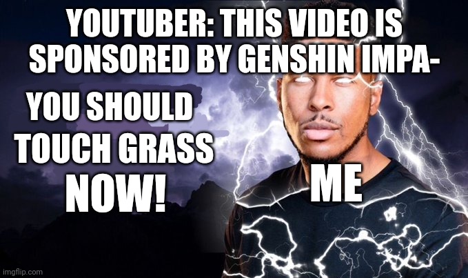 True | YOUTUBER: THIS VIDEO IS SPONSORED BY GENSHIN IMPA-; YOU SHOULD; TOUCH GRASS; ME; NOW! | image tagged in you should kill yourself now | made w/ Imgflip meme maker