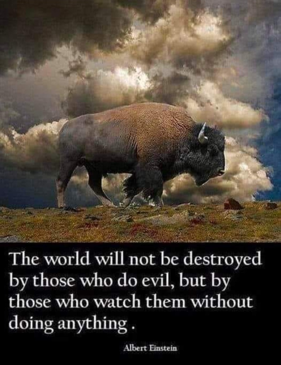 The Only Thing Necessary For Evil Quote