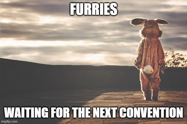 Lonely Furry | FURRIES; WAITING FOR THE NEXT CONVENTION | image tagged in lonely furry | made w/ Imgflip meme maker