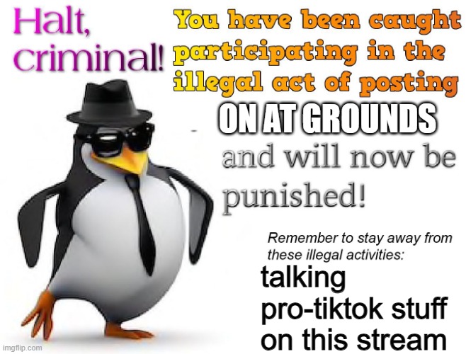 halt criminal! | ON AT GROUNDS talking pro-tiktok stuff on this stream | image tagged in halt criminal | made w/ Imgflip meme maker