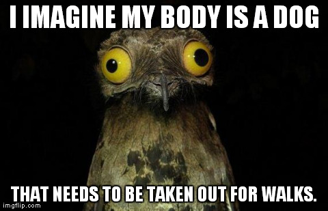 Weird Stuff I Do Potoo | I IMAGINE MY BODY IS A DOG THAT NEEDS TO BE TAKEN OUT FOR WALKS. | image tagged in memes,weird stuff i do potoo,AdviceAnimals | made w/ Imgflip meme maker