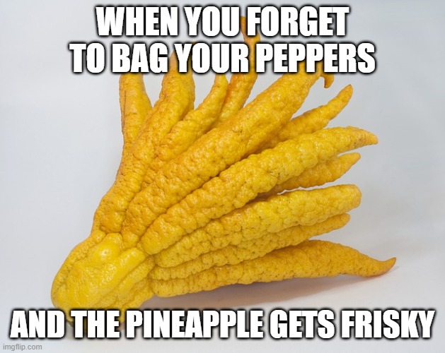WHEN YOU FORGET TO BAG YOUR PEPPERS; AND THE PINEAPPLE GETS FRISKY | made w/ Imgflip meme maker