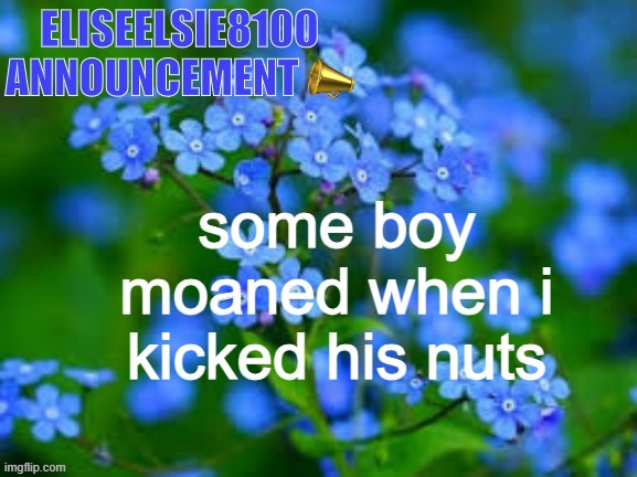 EliseElsie8100 Announcement | some boy moaned when i kicked his nuts | image tagged in eliseelsie8100 announcement | made w/ Imgflip meme maker