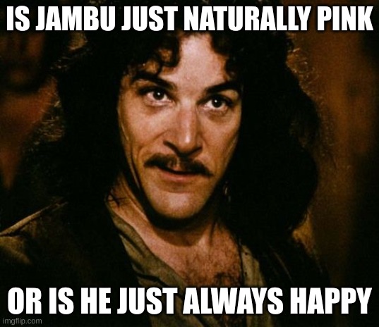 You keep using that word | IS JAMBU JUST NATURALLY PINK; OR IS HE JUST ALWAYS HAPPY | image tagged in wings of fire | made w/ Imgflip meme maker